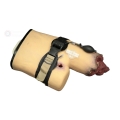 Trenazer-tamowania-krwotoku-miednica-Techline-B-CON-Trainer™-3.jpg