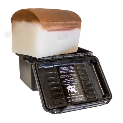 Trenazer-iniekcji-domiesniowej-Techline-Injection-in-a-Box®-2.jpg