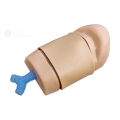 Trenazer-do-konikotomii-Techline-Cric-in-a-Box®-2.jpg